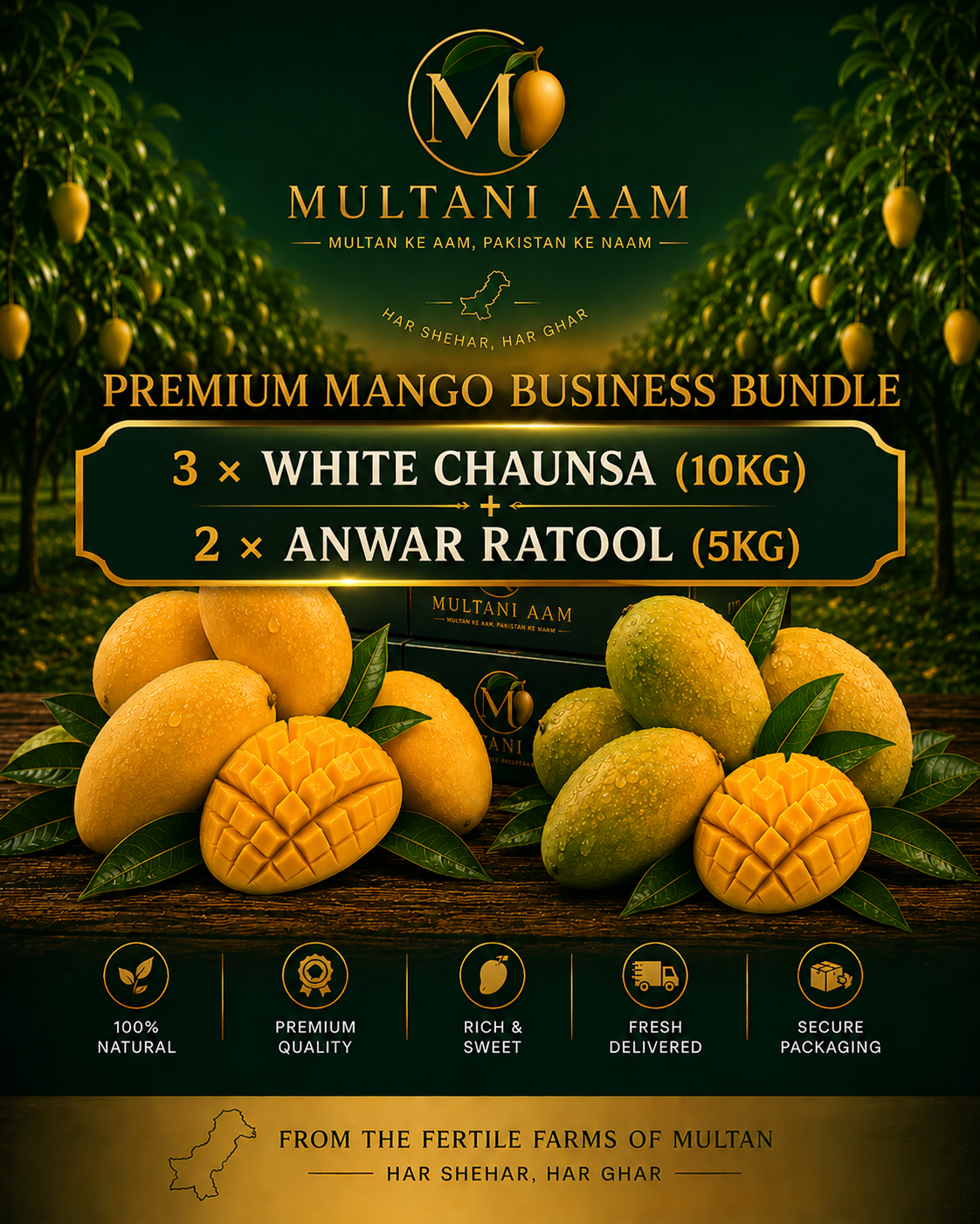 Premium Mango Business Bundle