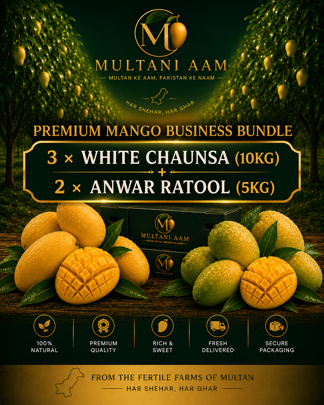 Premium Chaunsa Combo Bundle