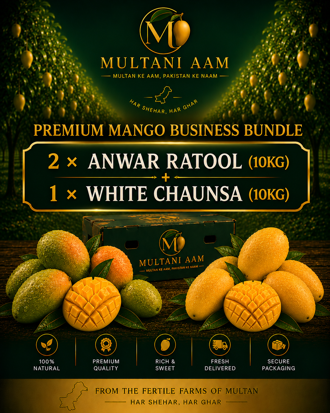 Executive Mango Bundle