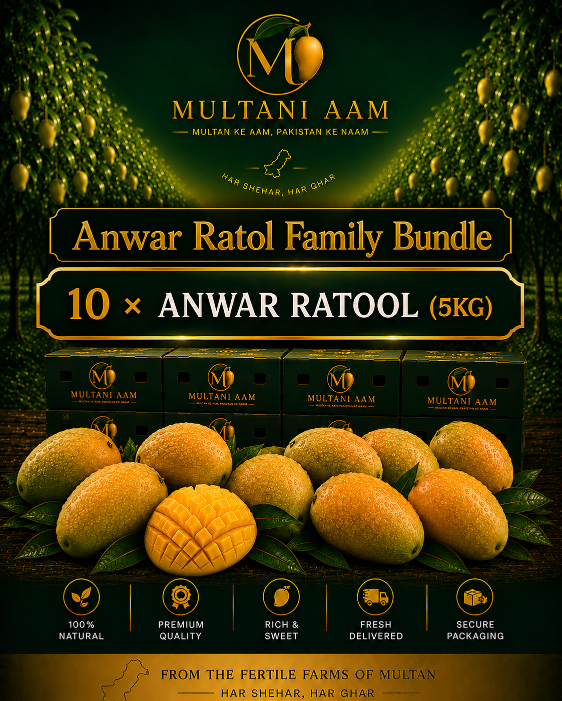 Anwar Ratol Family Bundle