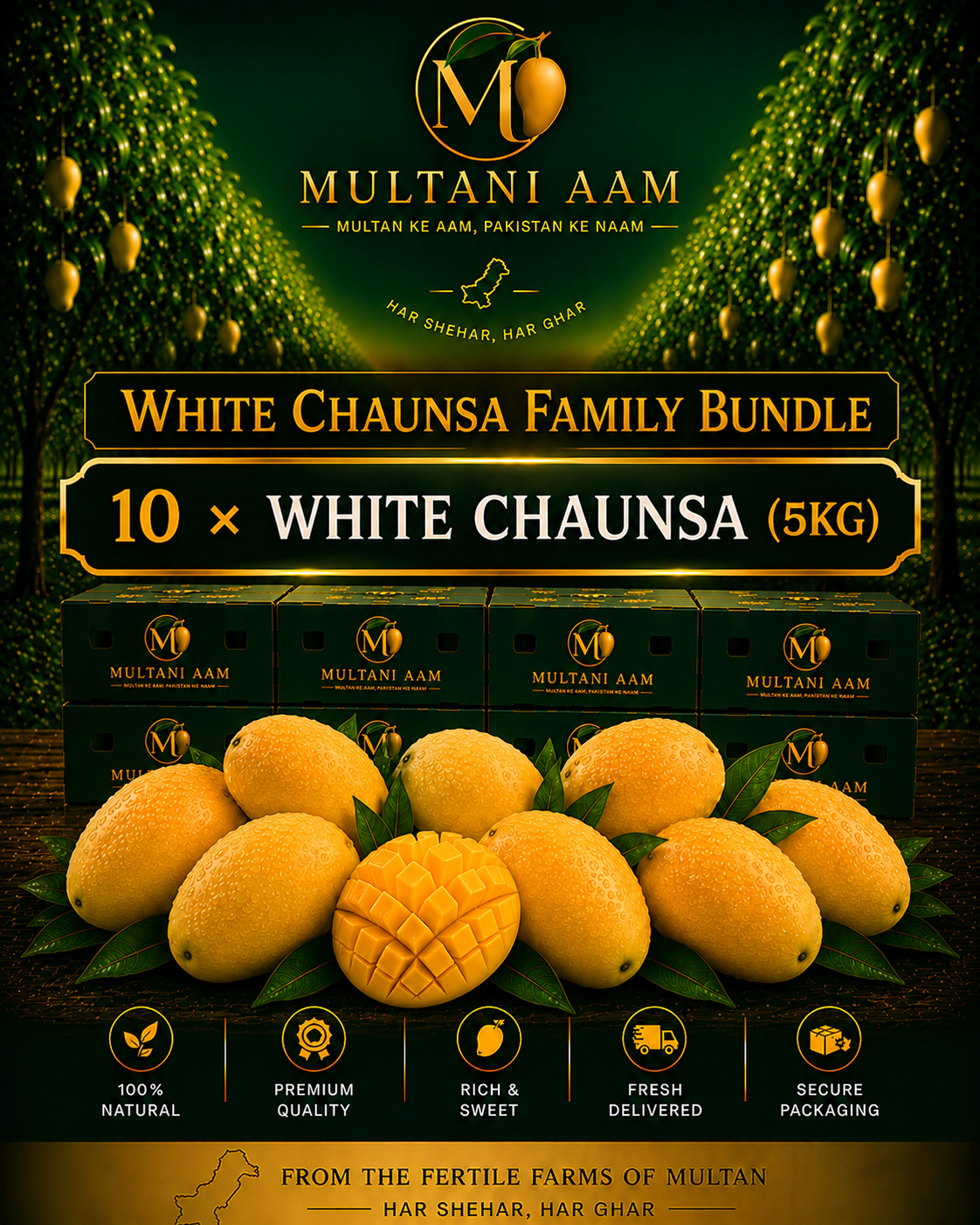 White Chaunsa Family Bundle
