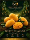 Premium White Chaunsa Mangoes | Sweetness of Multan