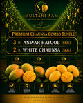Premium Mango Business Bundle