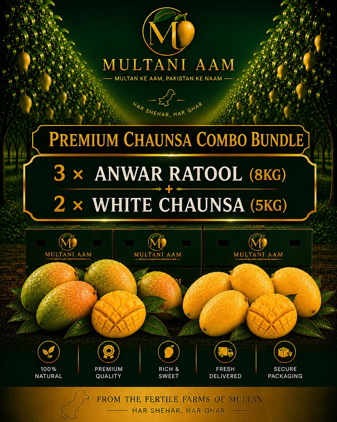 Premium Mango Business Bundle