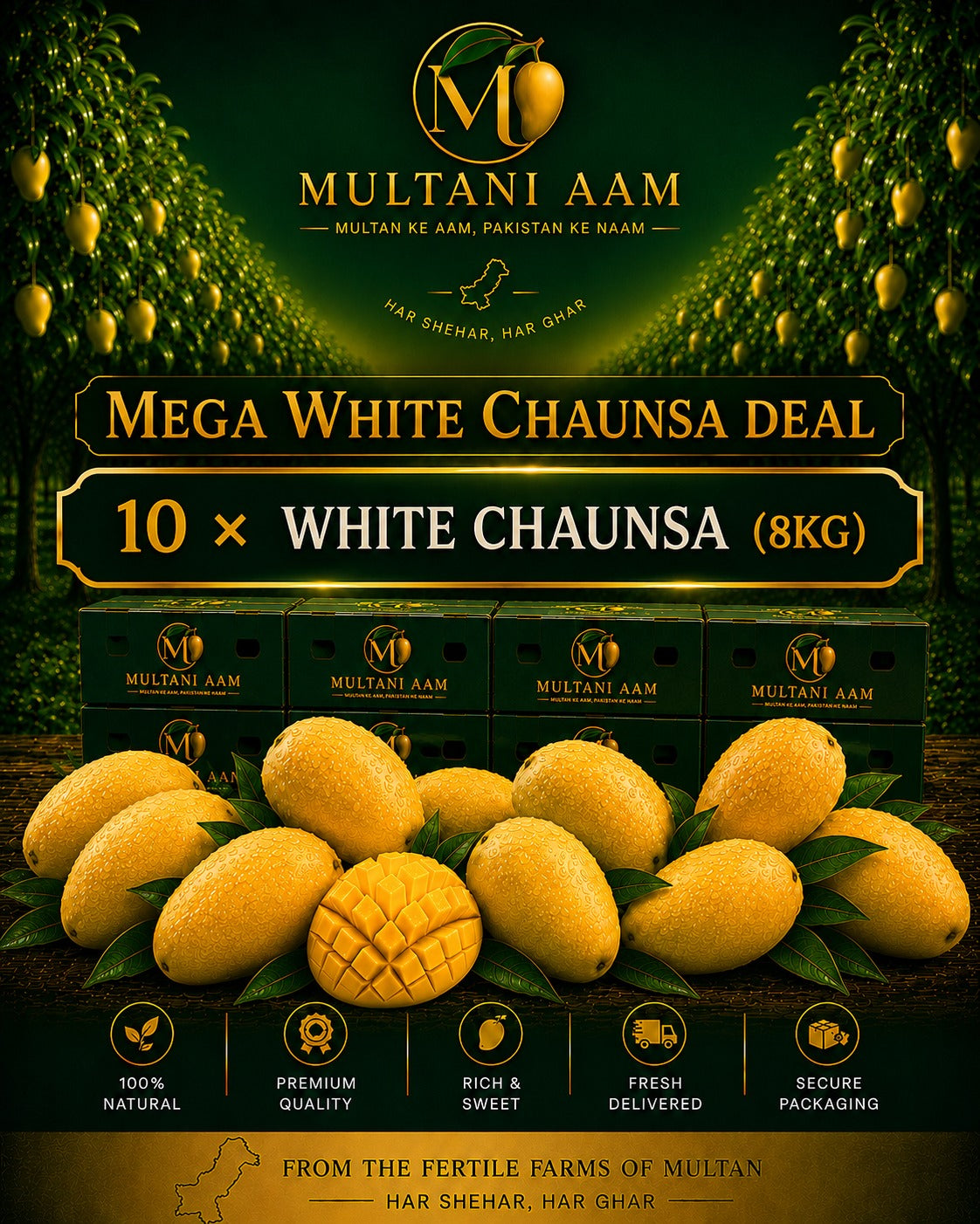 Mega White Chaunsa Deal