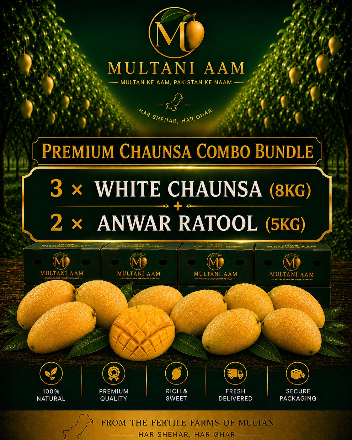 Premium Chaunsa Combo Bundle