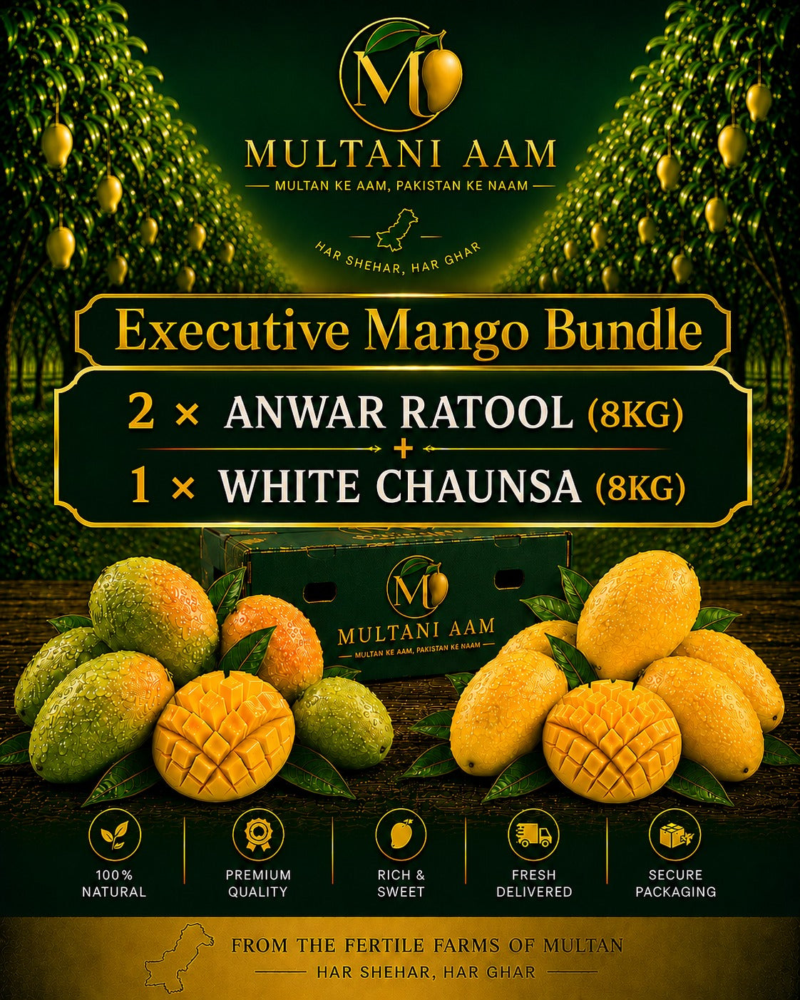 Executive Mango Bundle