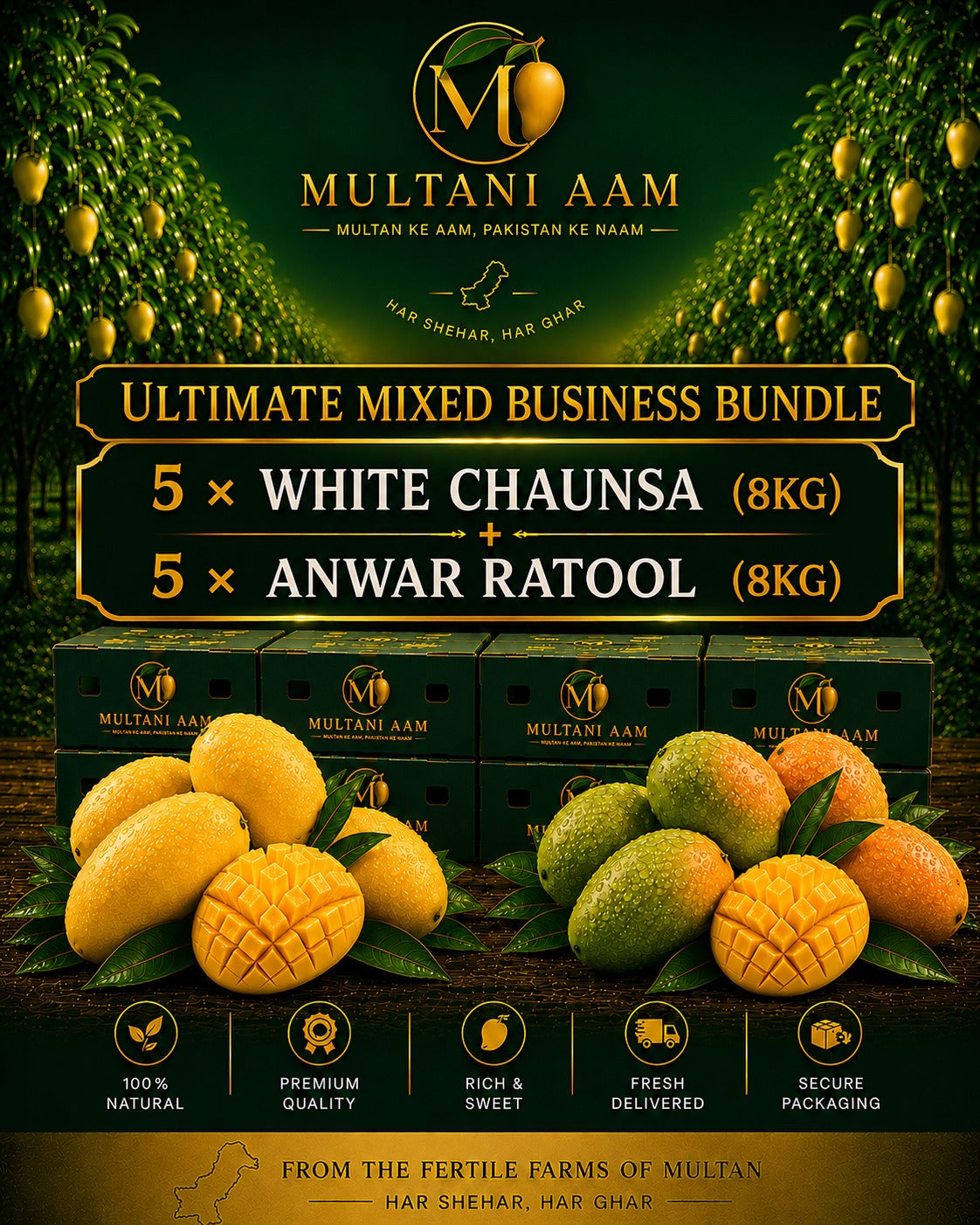 Ultimate Mixed Business Bundle